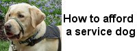 Service Dog Costs